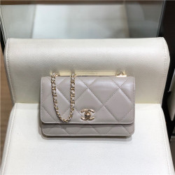 CHANEL 샤넬 WOC AS5005