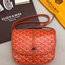 GOYARD 고야드 메신져백 22CM GY100980-7