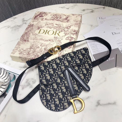 DIOR 디올 오블리크 미니 새들백 D74800
