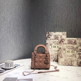 DIOR 디올 레이디 17CM D80891