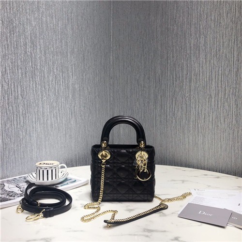DIOR 디올 레이디백 미니 D3307-5