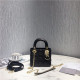 DIOR 디올 레이디백 미니 D3307-5
