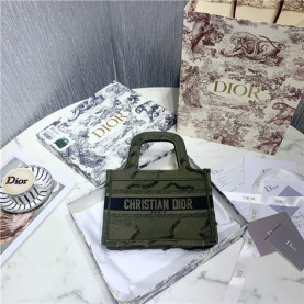 DIOR 디올 미니 북 토트백 D50337-4