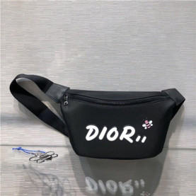 DIOR 디올 X 카우스 힙색 D0310-3