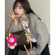 [소녀시대 태연] LOUIS VUITTON 루이비통 사이드 트렁크 숄더백
