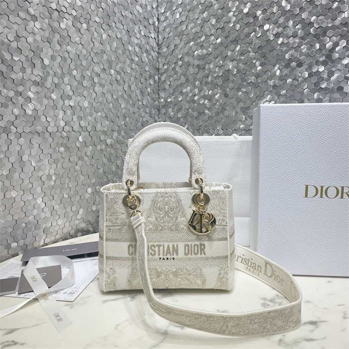 DIOR 디올 레이디 M0565