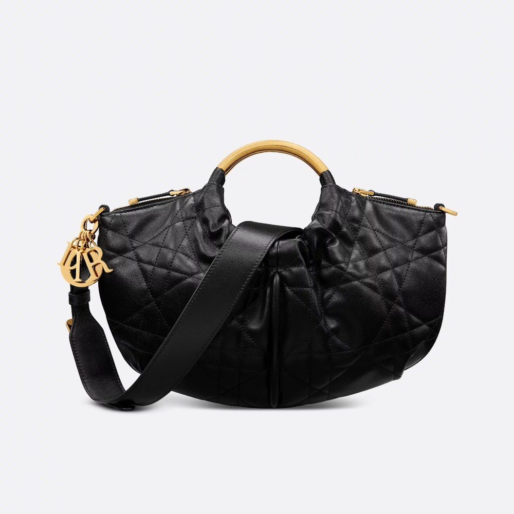 DIOR 디올 워킹 디올 백 M4511 2COLOR